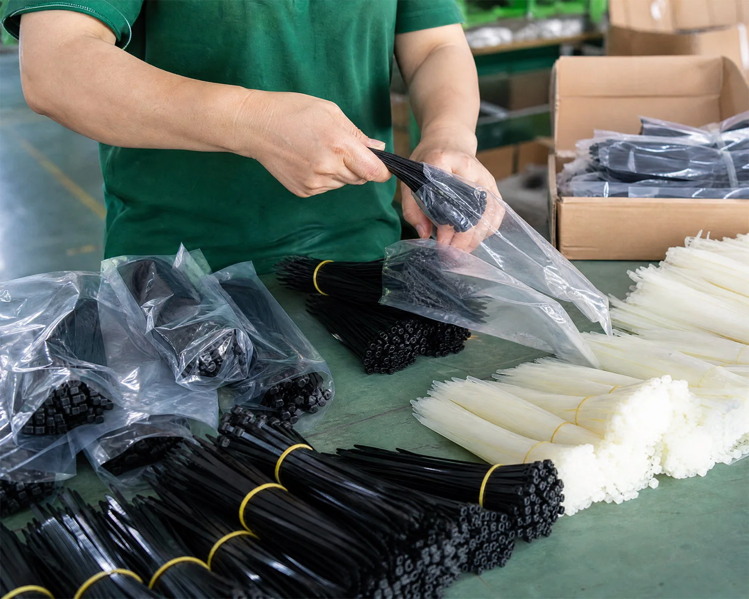 Counting and Packaging Area