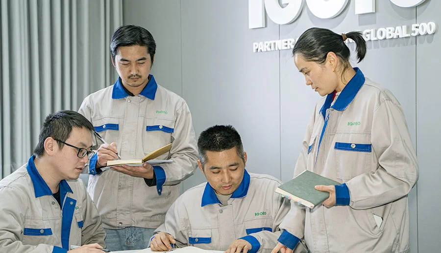 IGOTO Expansion in 2001