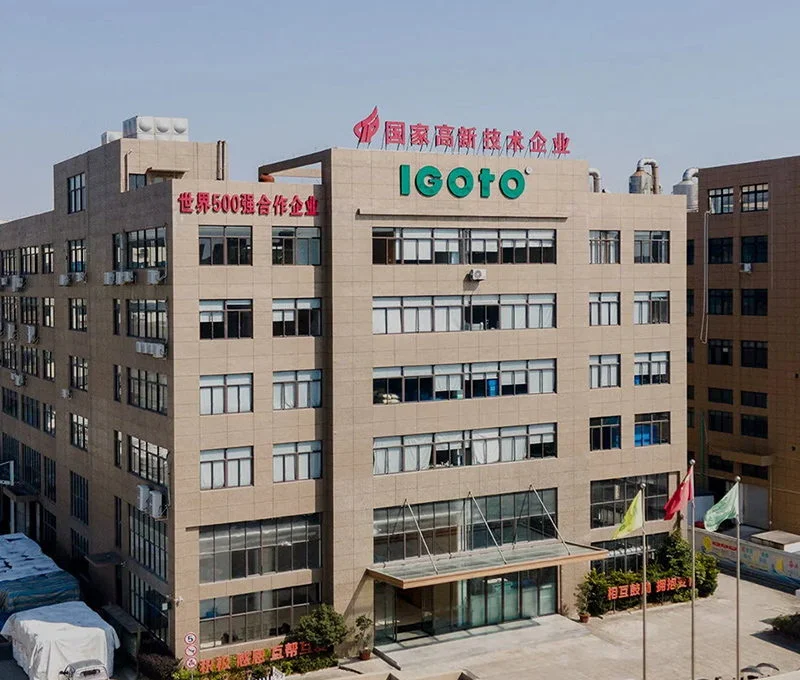Zhejiang IGOTO Electric Co., Ltd. Factory Overview